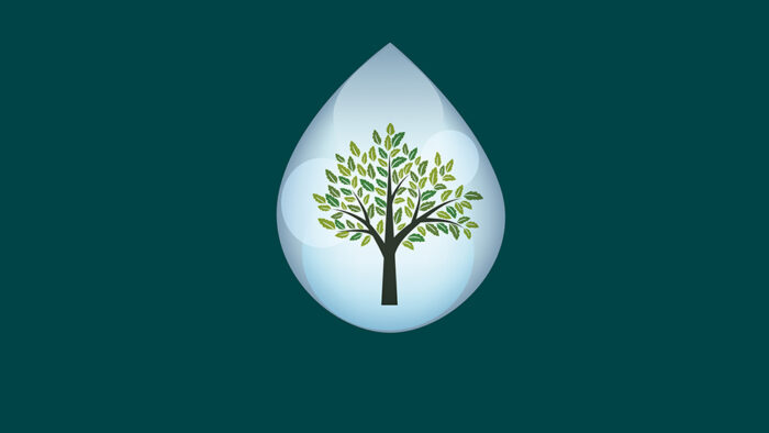 träd i en vattendroppe